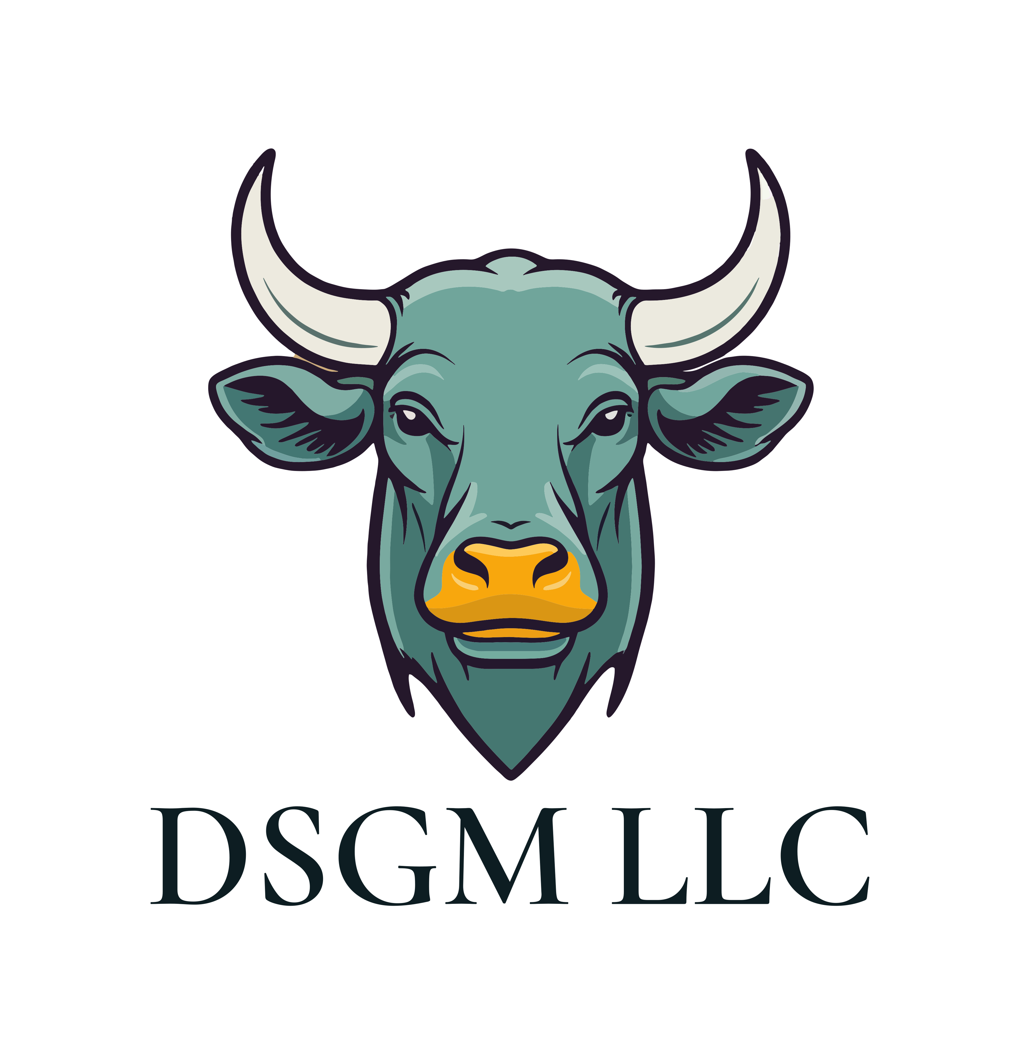 DSGM FINANCE